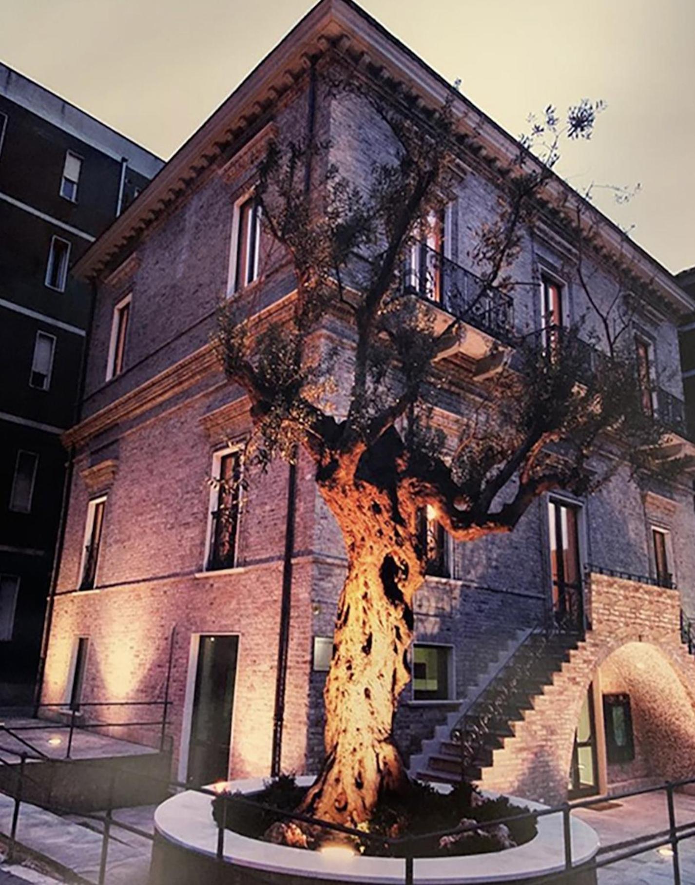 Bed & Breakfast Palazzo Storico Di Nicola